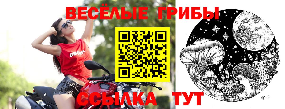 Псилоцибиновые грибы MAGIC MUSHROOMS  Вход с VPN  Черногорск  Псилоцибиновые грибы MAGIC MUSHROOMS 