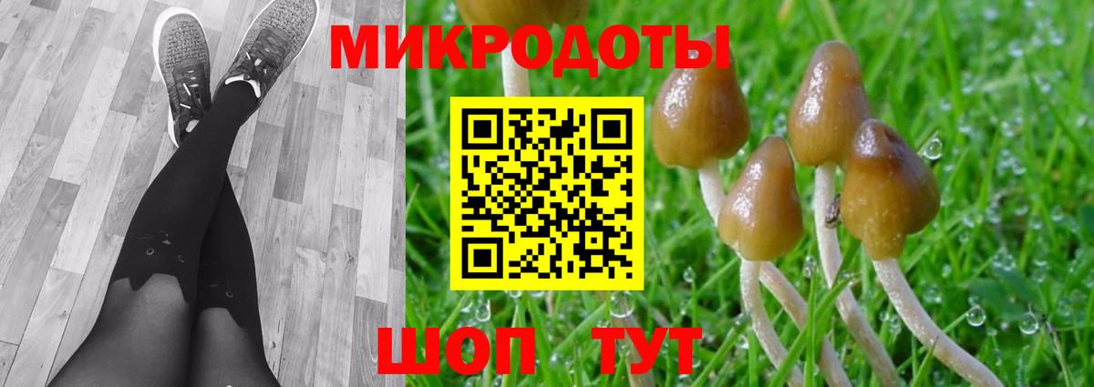 Псилоцибиновые грибы Magic Shrooms  как найти наркотики  Черногорск  Псилоцибиновые грибы прущие грибы 